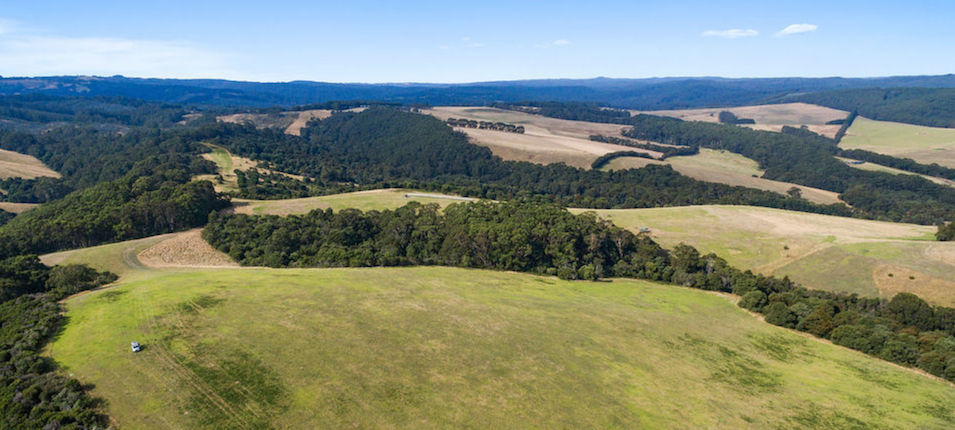 Otways Accommodation Book Direct With Owners And Save