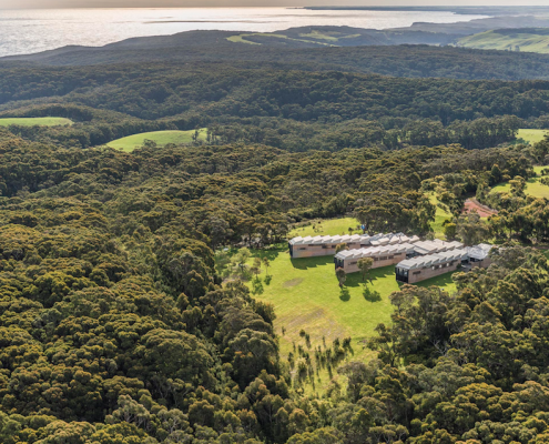 moonlight head accommodation