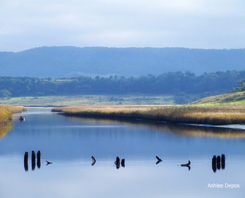 barham river