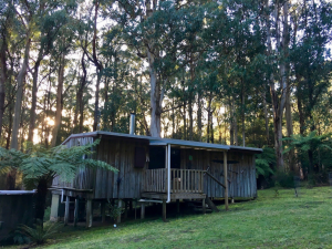 Otways Accommodation Book Direct With Owners And Save