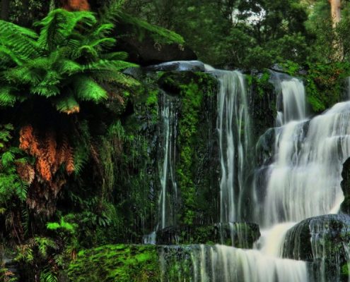 otway waterfalls
