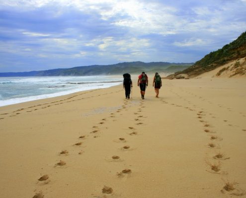 footprints