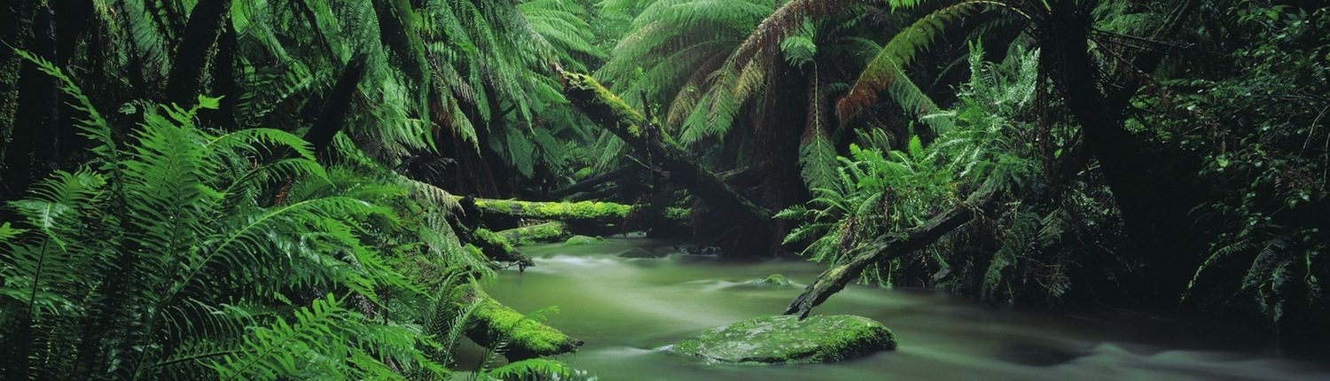 mountain-stream