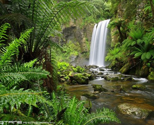 otway waterfalls
