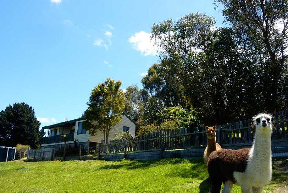 Iona Seaview johanna accommodation