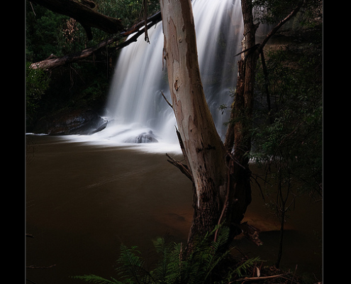 otway waterfalls
