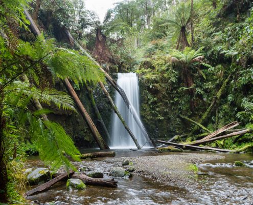 otway waterfalls