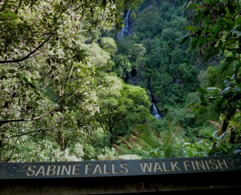 otway waterfalls