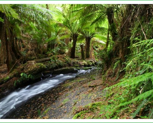 stream