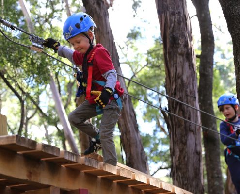 tree-adventure-otway-park-flying-foxes-kids-advent1