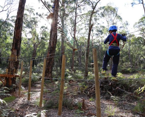 tree-adventure-otway-park-flying-foxes-kids-advent111