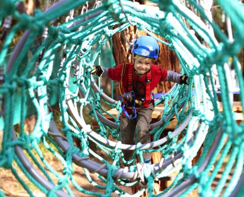 tree-adventure-otway-park-flying-foxes-kids-advent91
