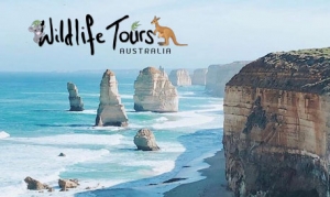 wildlife-tours