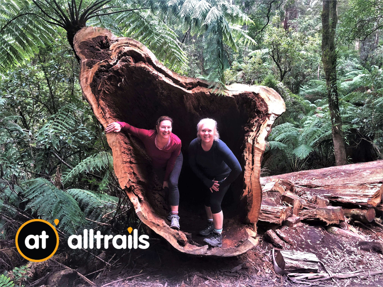 all trails tours